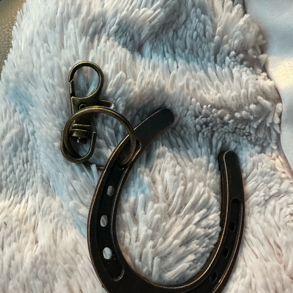 Bronze Color Horseshoe Key Holder